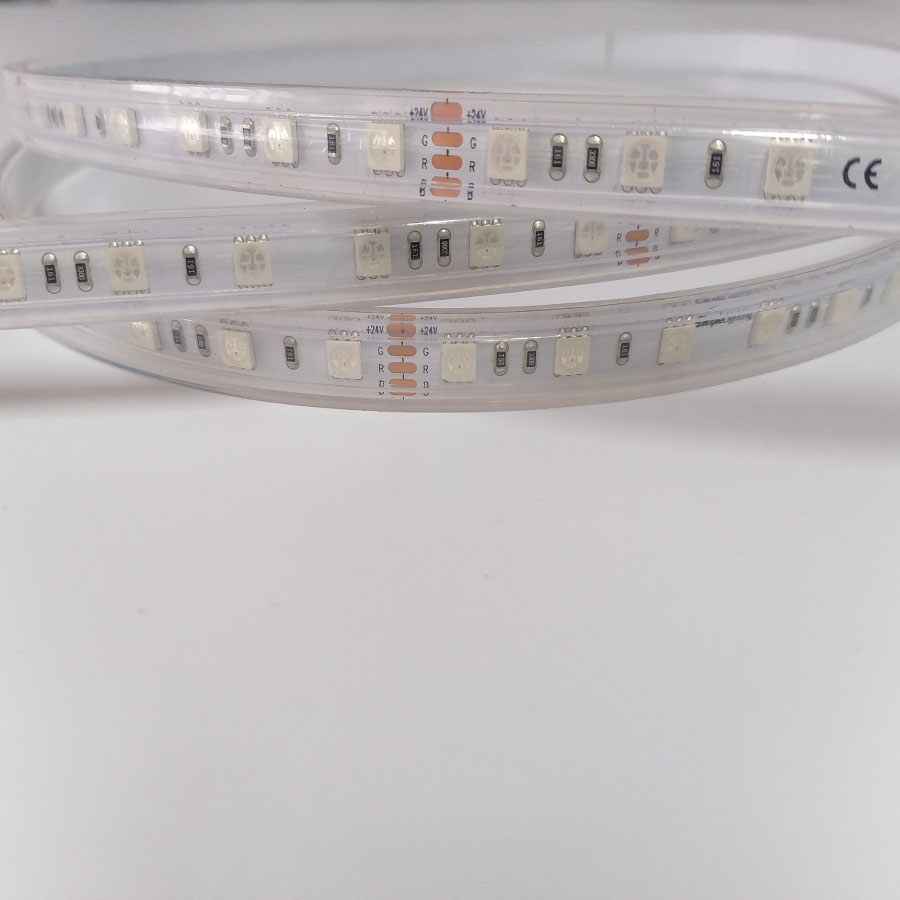 LED Flexible Strip - 5050RGB series - Classical Constant Voltage 5050RGB 60LED 10mm 24V FD-SL24VF60